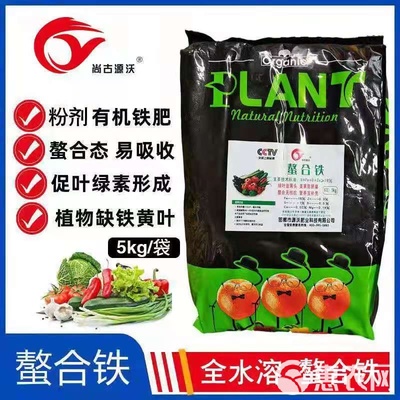 螯合鐵與復合微生物肥料 黃葉現(xiàn)象的綠色解決方案