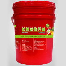 生物有機肥料研發 現代農業的綠色引擎